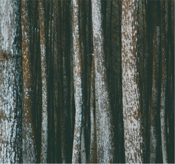 佳飾家(jiā)闆材