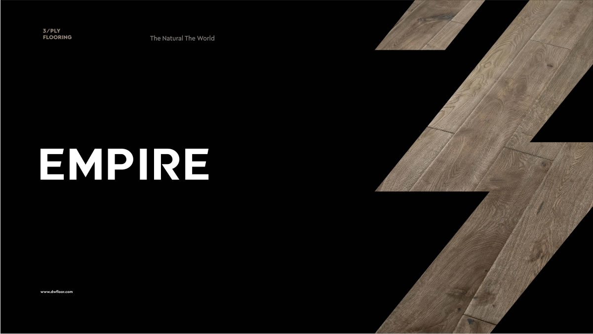 地(dì)王VI設計(jì) (12).jpg