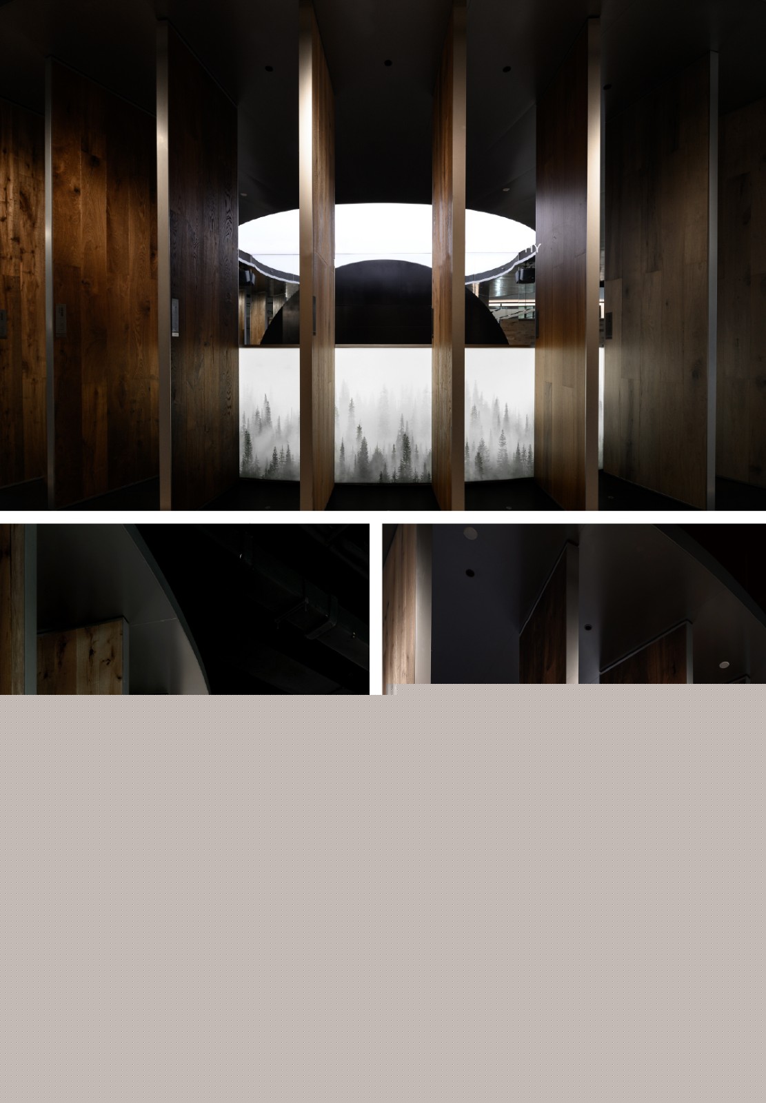 地(dì)王6.jpg 地(dì)王6.jpg